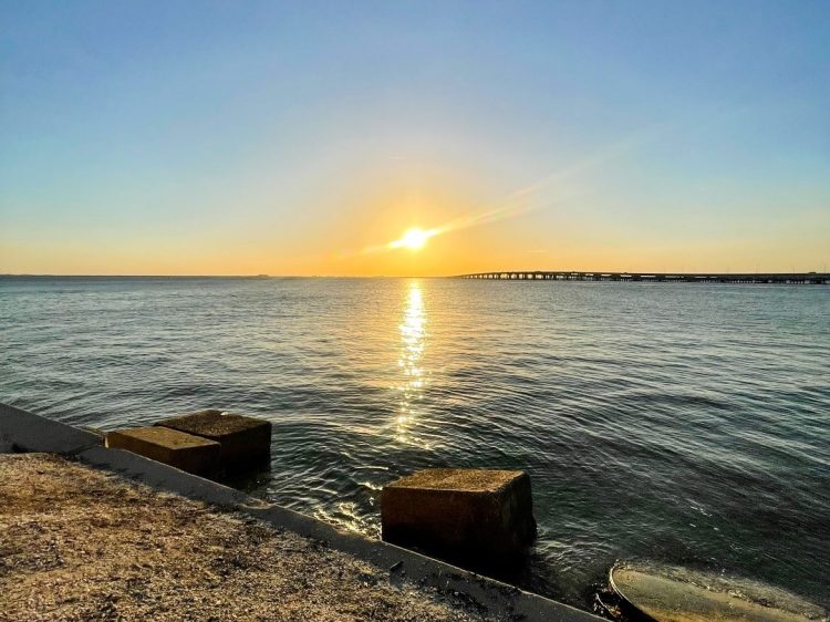 Trip Recap: Tampa,&nbsp;Florida